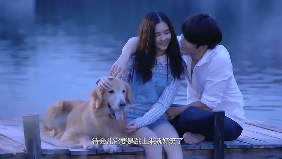 卡哇伊拳击手
